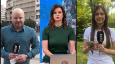 Pavle Ivković i Aleksandra Dražić