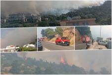 collage1231321.jpg