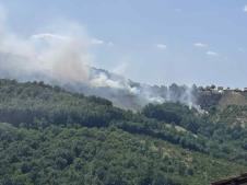 1750514689_cacak-miokovci-pozar-fotorina5.jpg