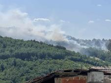 1750514689_cacak-miokovci-pozar-fotorina1.jpg