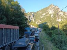 175059238616599481611657819052_prijepolje-guzve-na-granici-fotorina2.jpg