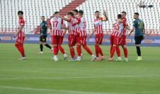 zvezda-vojvodina-250042.JPG