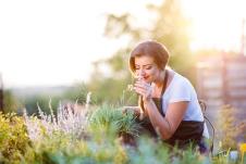 cvece shutterstock_387153367.jpg