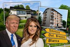 melanija 1.jpg
