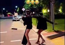Pesacki prelaz.jpg