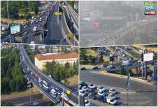 špic.jpg