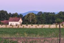 IMG_20250622_202842.jpg