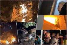 collage.jpg