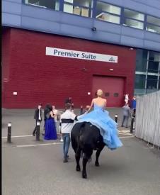 Screenshot 2025-07-04 103316.png