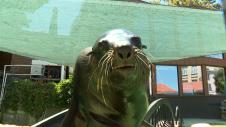 366443_250707.01_44_49_14.Still001.jpg