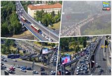 jutarnji špic.jpg