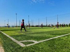 Fenix Cup