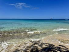 IMG_7293.jpg