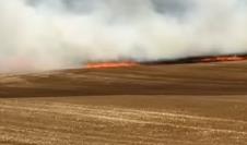 požar njive Kula
