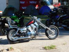 LOZNICA - Lepotan.JPG