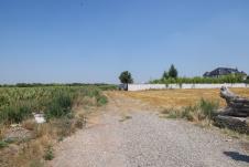 WhatsApp Image 2025-07-21 at 3.06.06 PM (1).jpeg