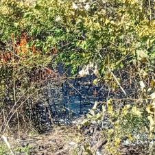 WhatsApp Image 2025-07-21 at 16.25.40_2e50f81a.jpg