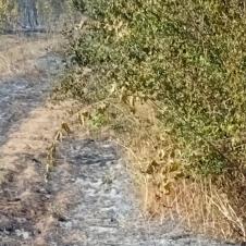 WhatsApp Image 2025-07-21 at 16.25.36_d947f2af.jpg