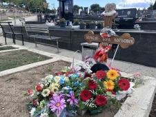 Bora Djordjevic, foto Kurir (3).jpeg