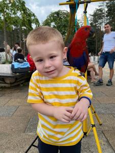 Priča mame o neustrašivom dečaku koji voli insekte, Ognjen je rođen kao dugina beba