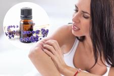 ujed komarca, lavanda, eterično ulje.jpg