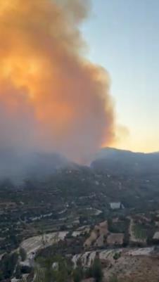 Screenshot 2025-07-26 125457.png