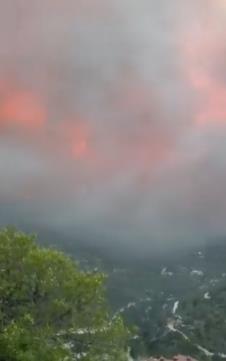 Screenshot 2025-07-26 125453.png