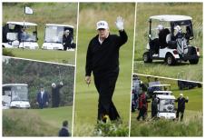 donald trump.jpg
