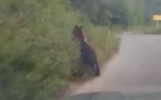 Screenshot 2025-07-27 090604.png