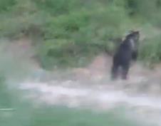 Screenshot 2025-07-27 090623.png