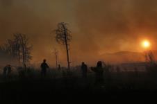 x01 EPA Yannis Kolesidis.jpg