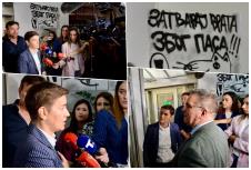 collage.jpg