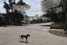 102 AP Andriy Andriyenko.jpg