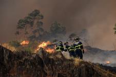 pozari07 EPA Estela Silva.jpg