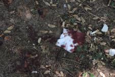 WhatsApp Image 2025-08-02 at 15.34.36 (1).jpeg