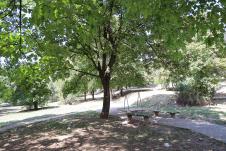 WhatsApp Image 2025-08-02 at 15.34.35.jpeg