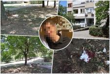 Vozdovac 1.jpg