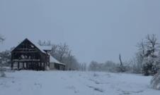 Screenshot 2025-08-03 141315.png