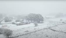 Screenshot 2025-08-03 141811.png