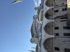 IMG_3131.jpeg