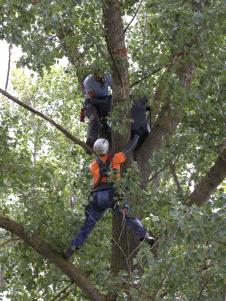 Postavljanje kutije za stepske sokolove