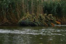 01_mls_5634_1754403163.jpg