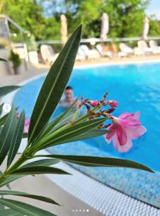 Milica Milša u bazenu.jpg