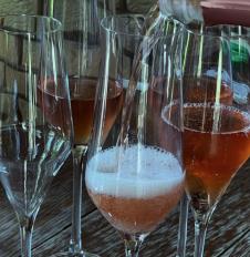 Marija  Kilibarda proslavila 10 meseci male Senje