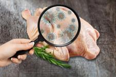 pileće meso salmonela shutterstock_2433318927.jpg
