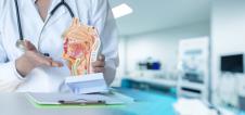 doktorka u belom maltilu sa stetoskopom pokazuje na maketu poprečnog preseka lica i anatomiju grla