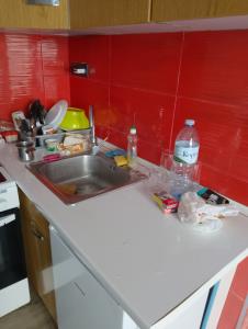 smeće u smeštaju 2.jpg