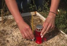 Screenshot 2025-08-12 200301.png