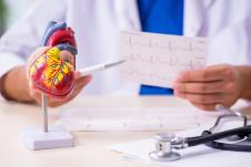 doktor pokazuje na rezultate EKG-a pored anatomskog modela srca