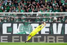 Partizan, Hibernijan